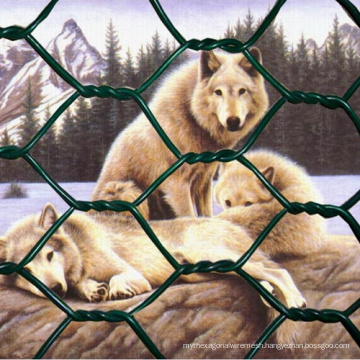 Animal Net PVC Coated Hexagonal Farm Netting